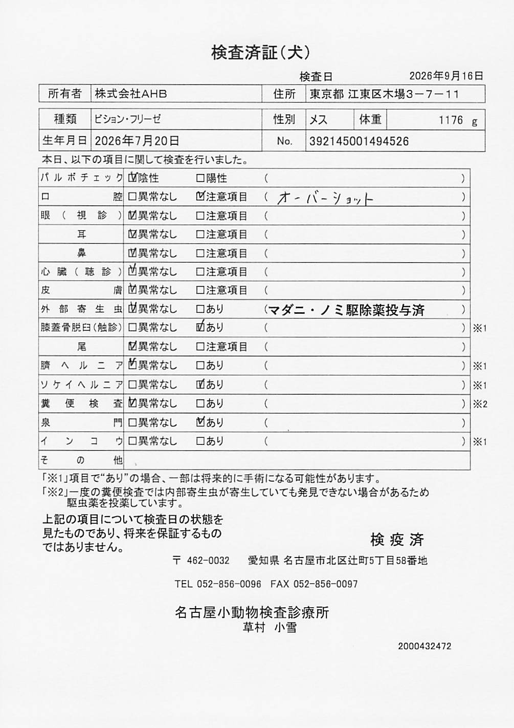 ビション・フリーゼ