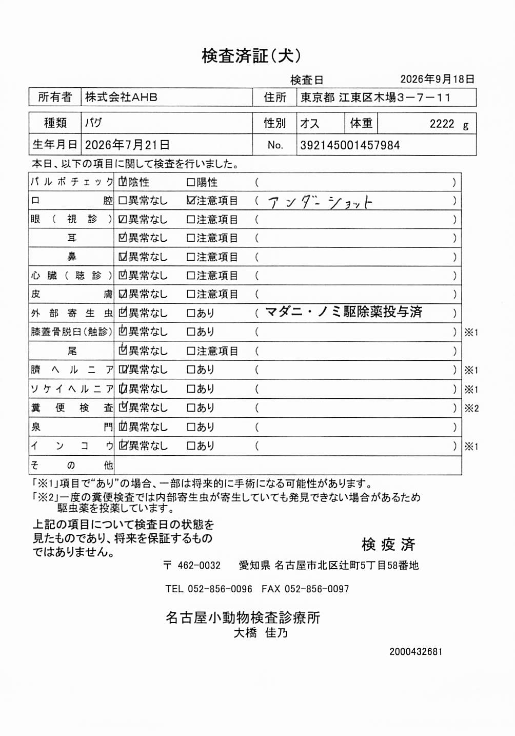 パグ