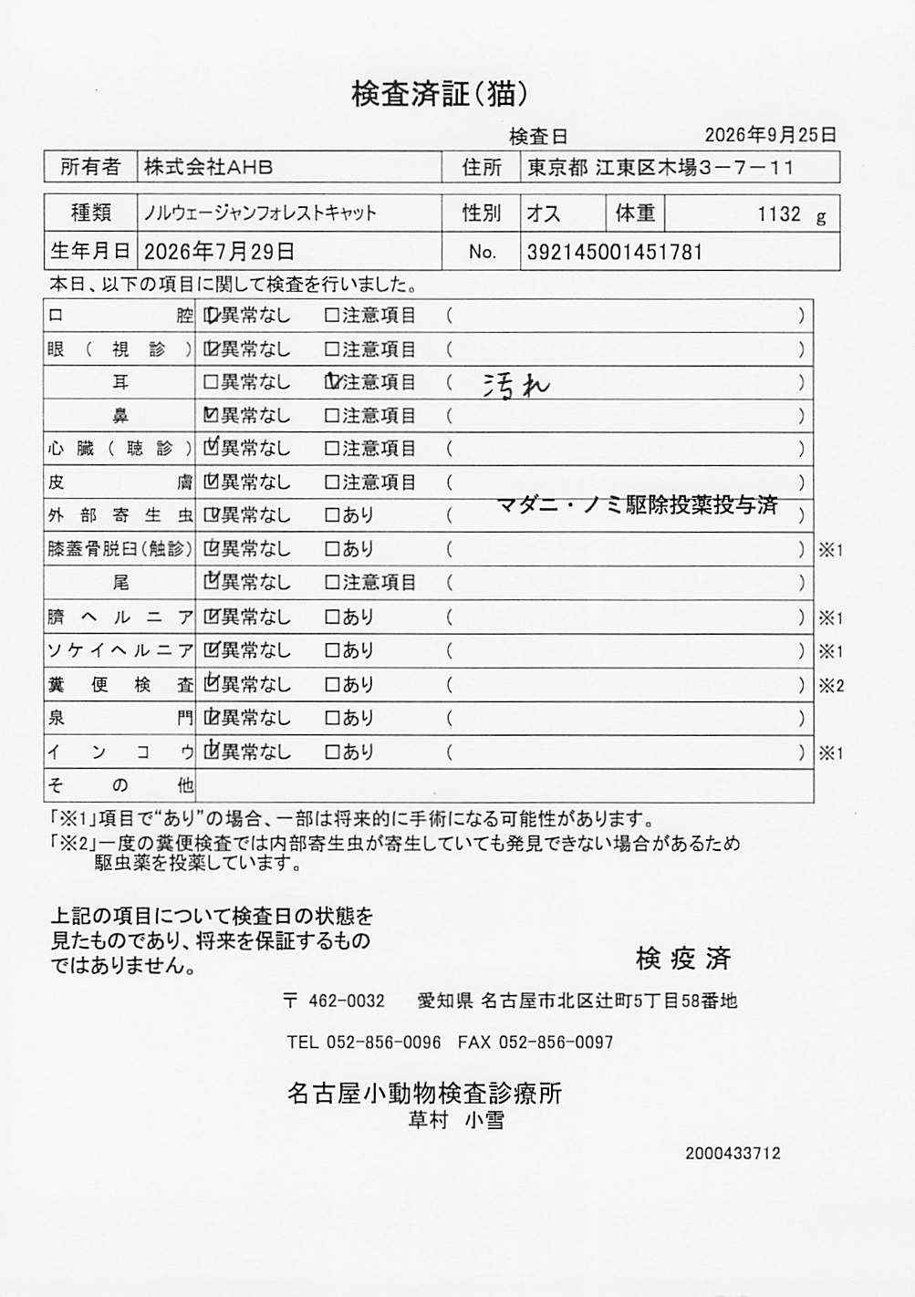 ノルウェージャンフォレストキャット