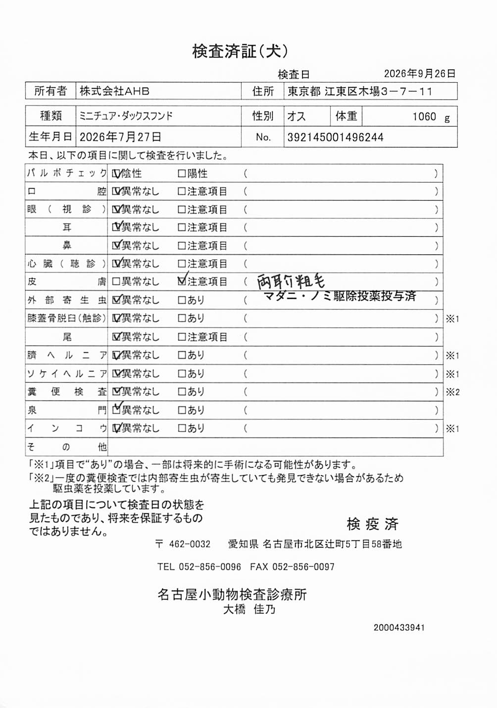ミニチュア・ダックスフンド