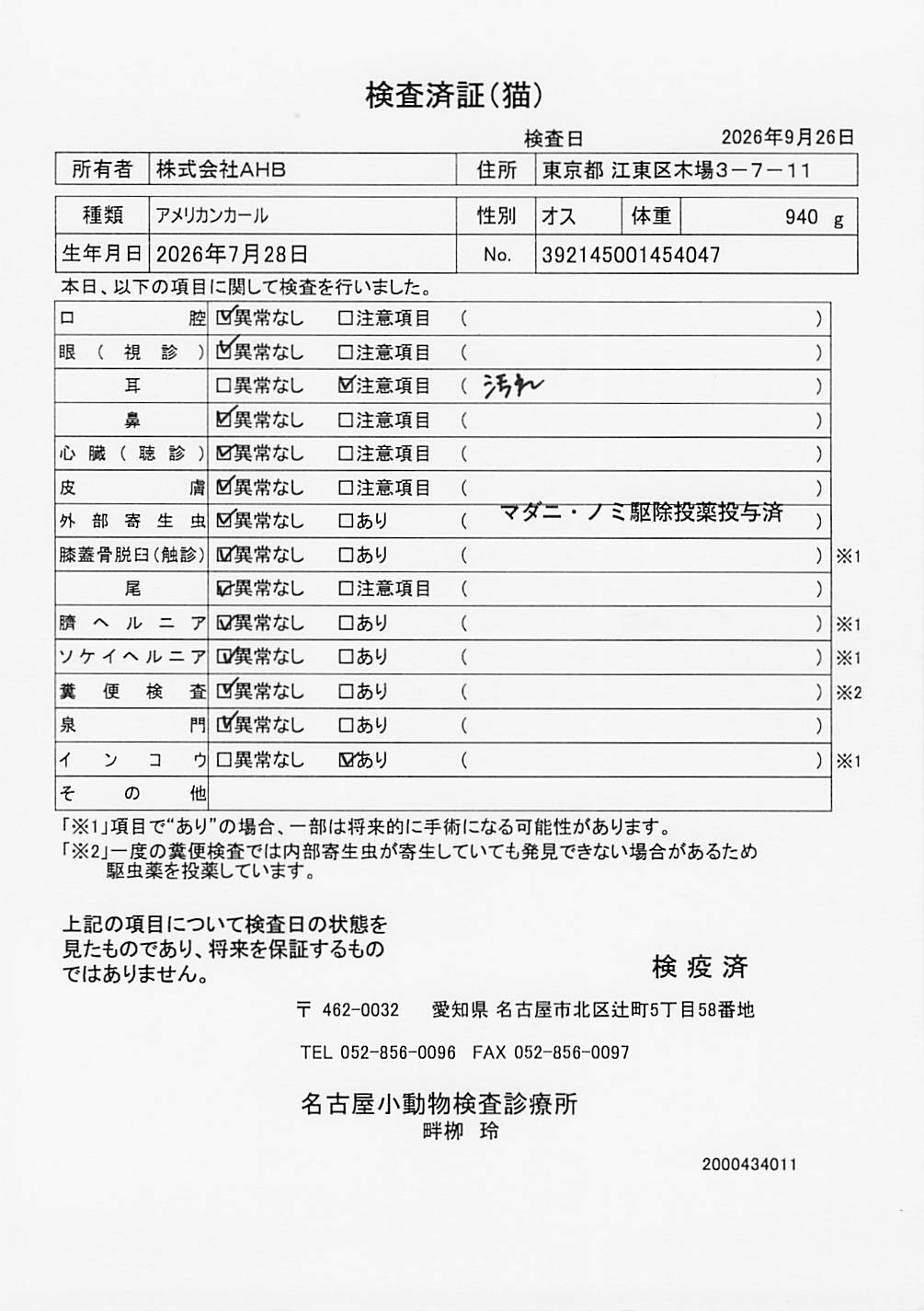 アメリカンカール