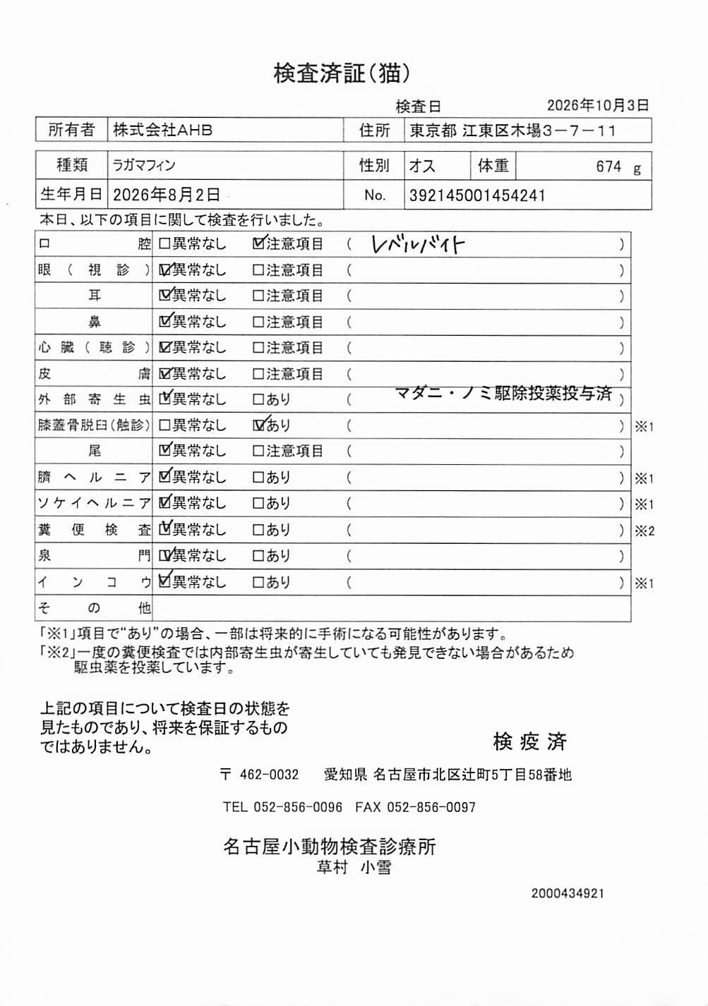 ラガマフィン