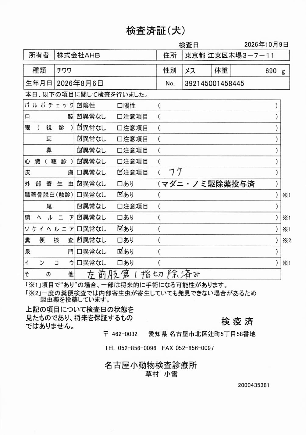 チワワ