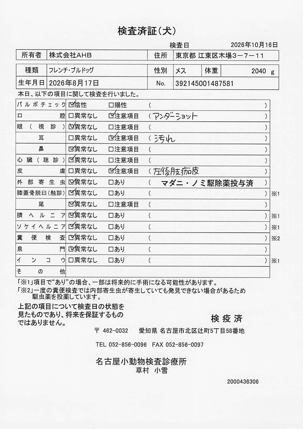 フレンチ・ブルドッグ