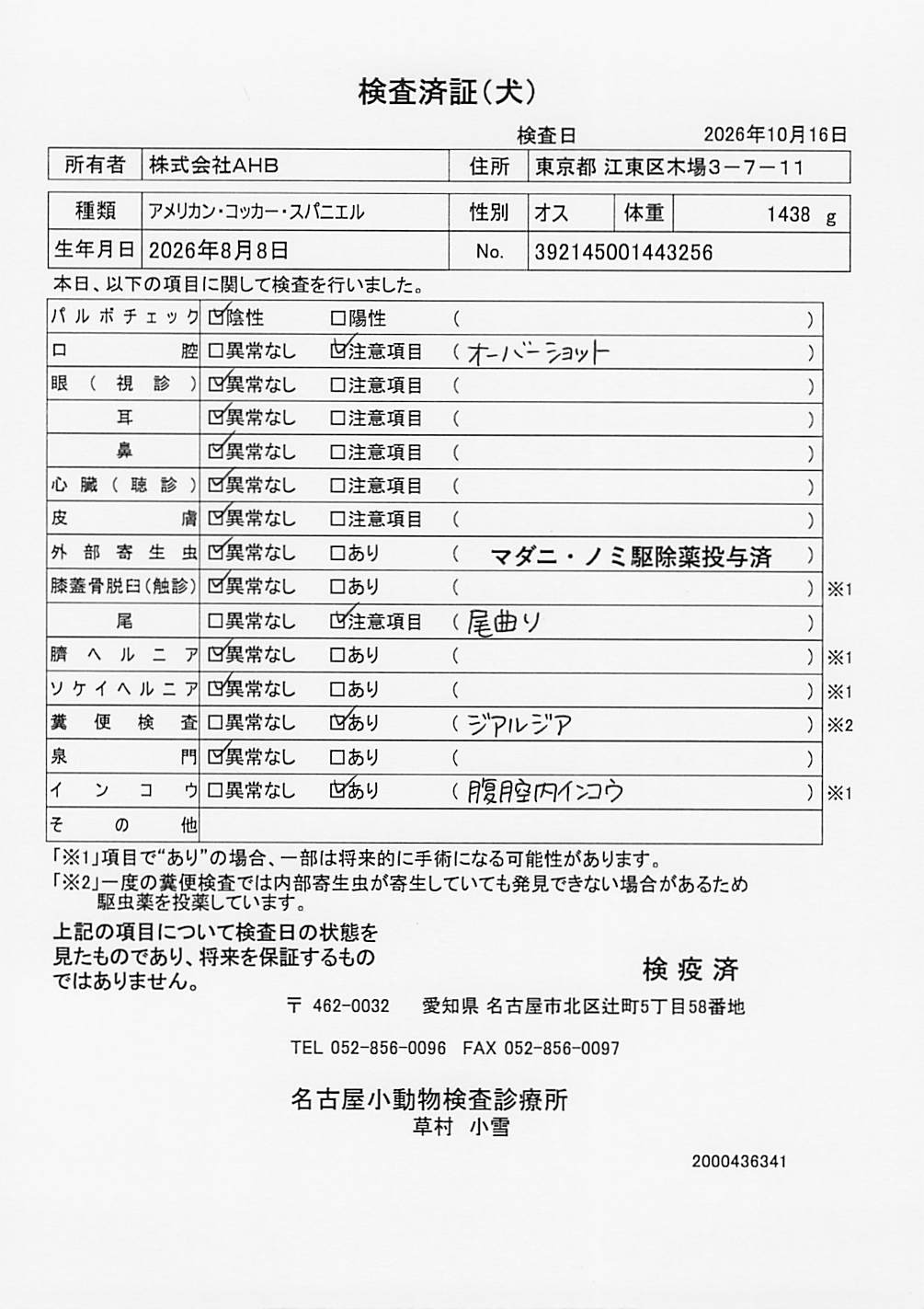 アメリカン・コッカー・スパニエル