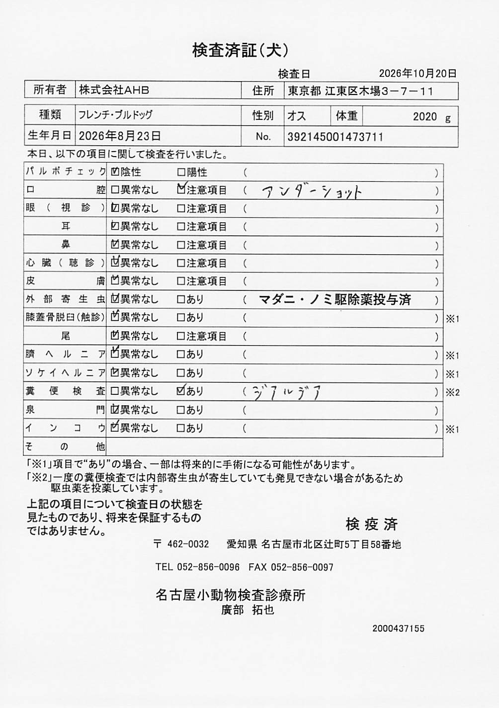 フレンチ・ブルドッグ
