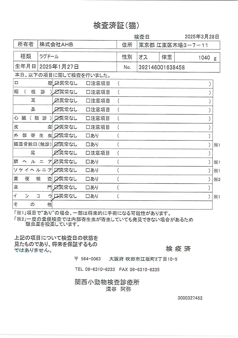 ラグドール
