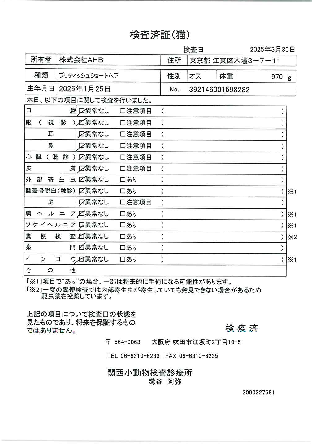 ブリティッシュショートヘア