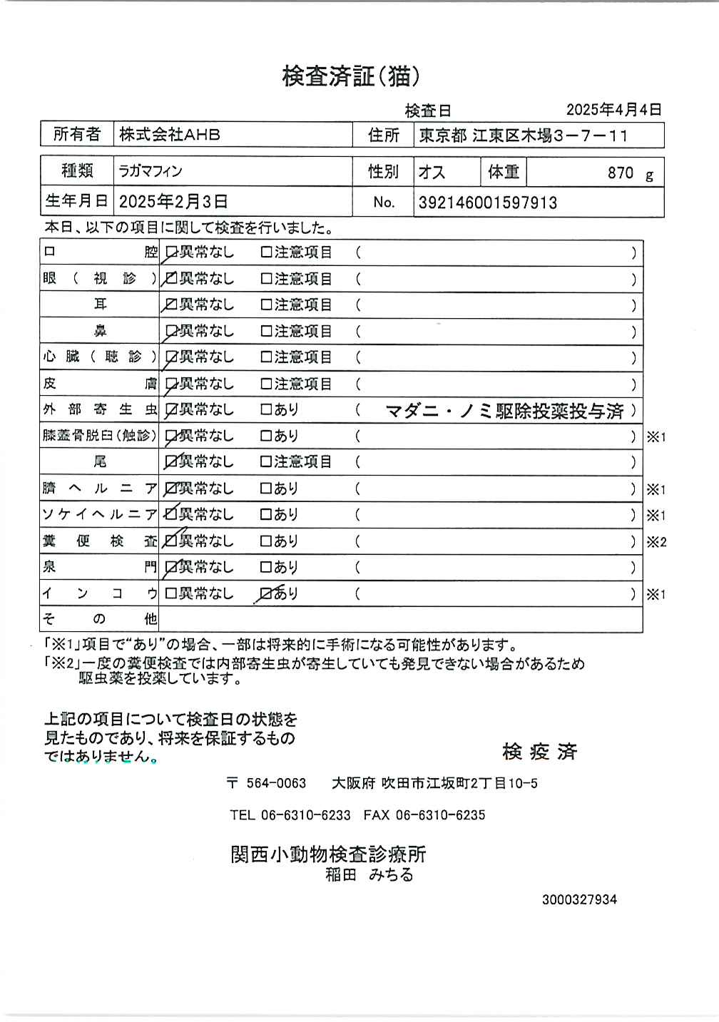 ラガマフィン