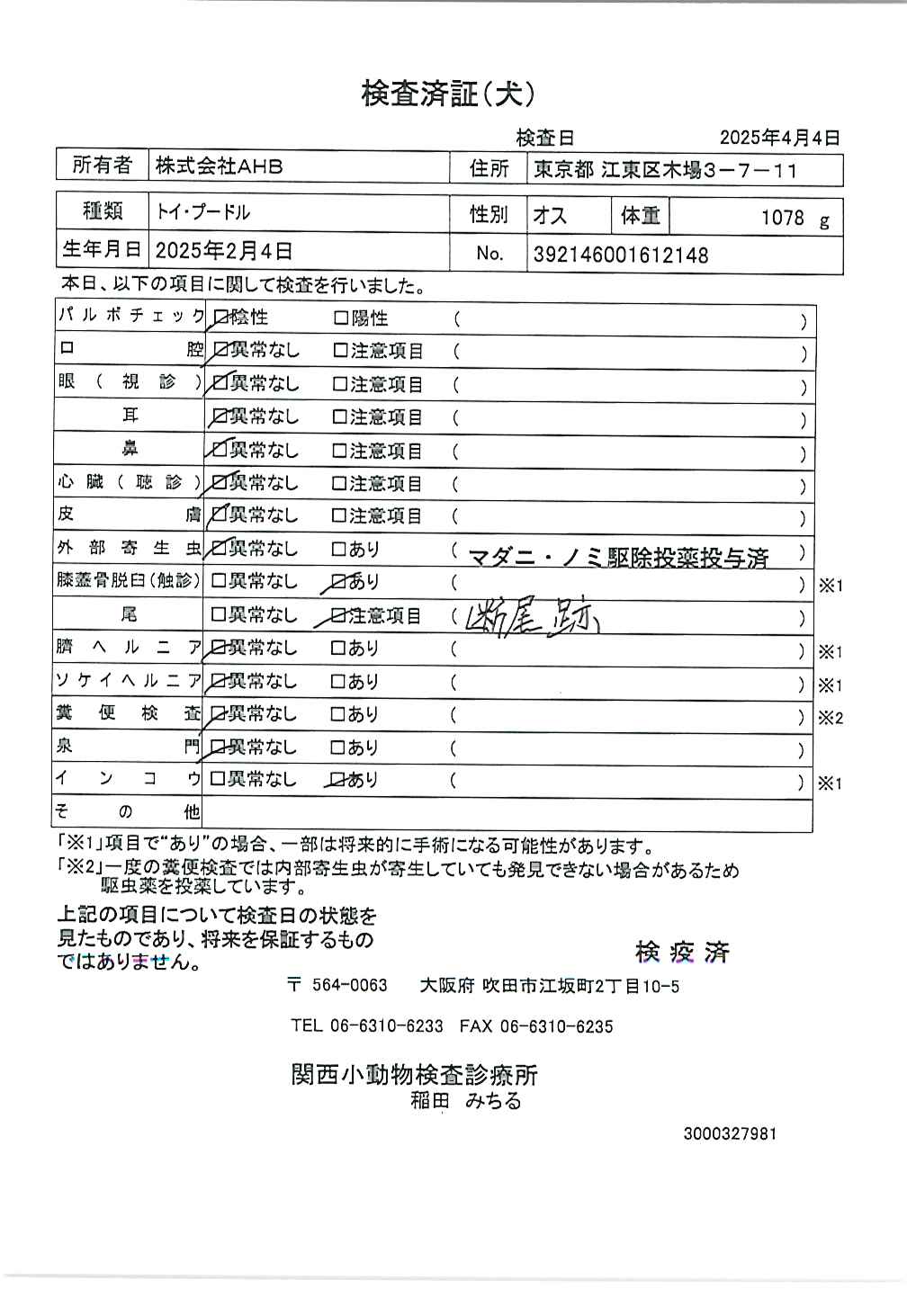 トイ・プードル