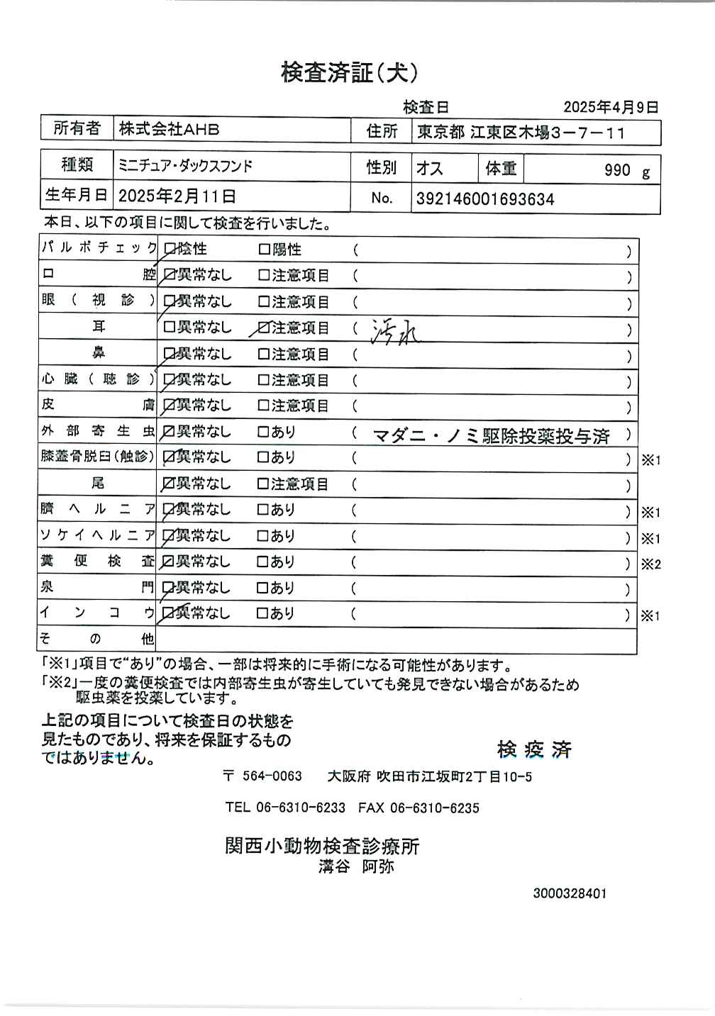 ミニチュア・ダックスフンド