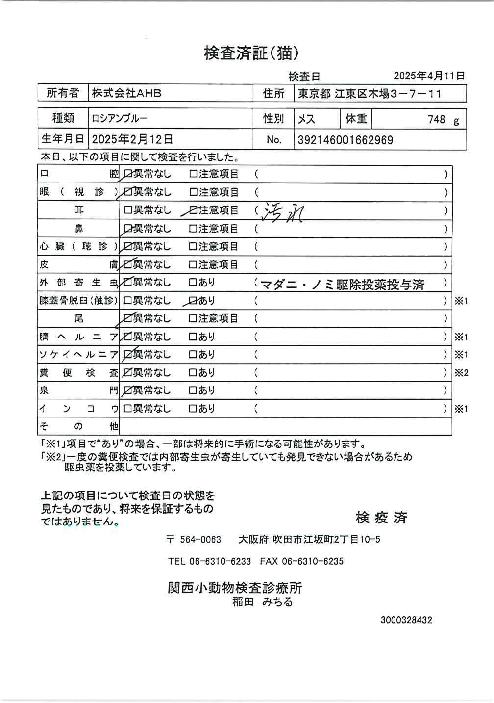 ロシアンブルー