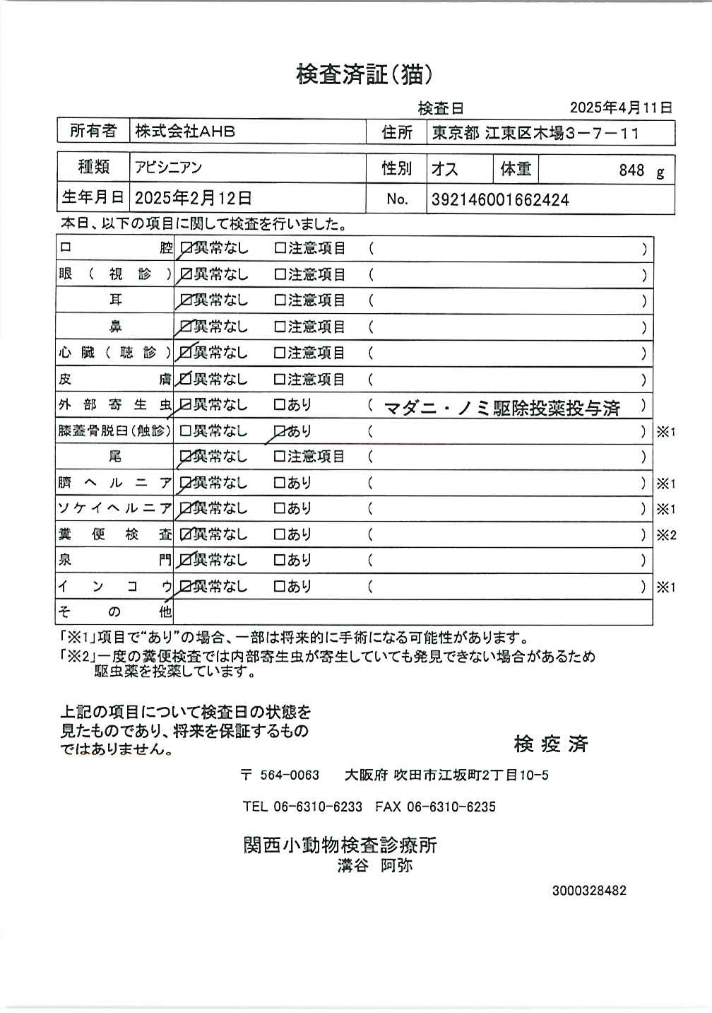 アビシニアン