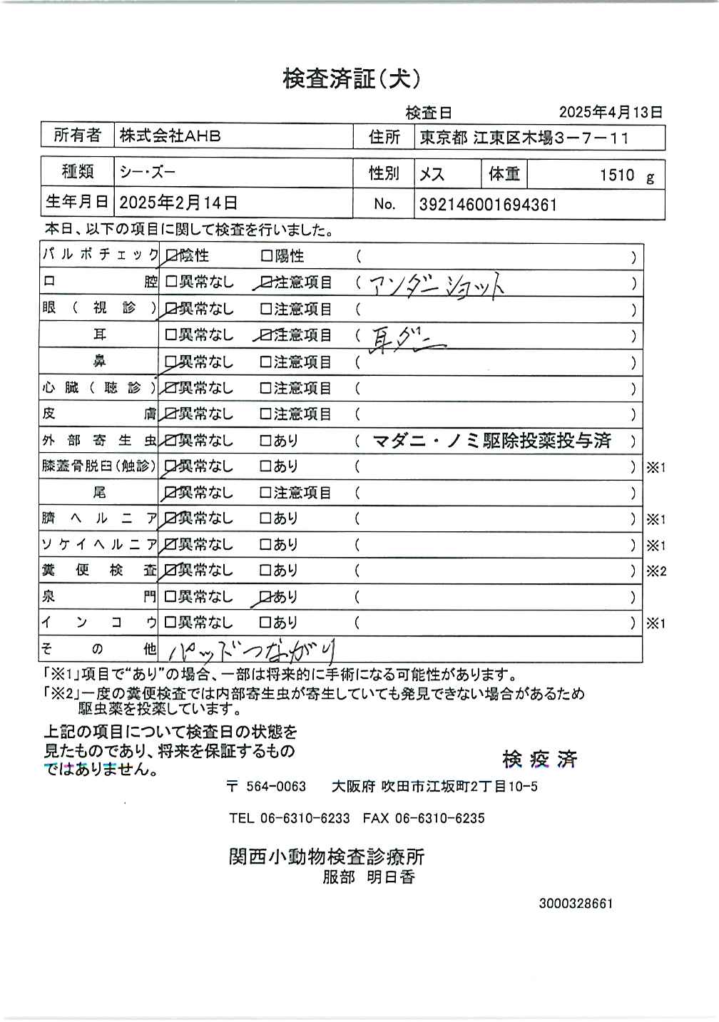 シー・ズー