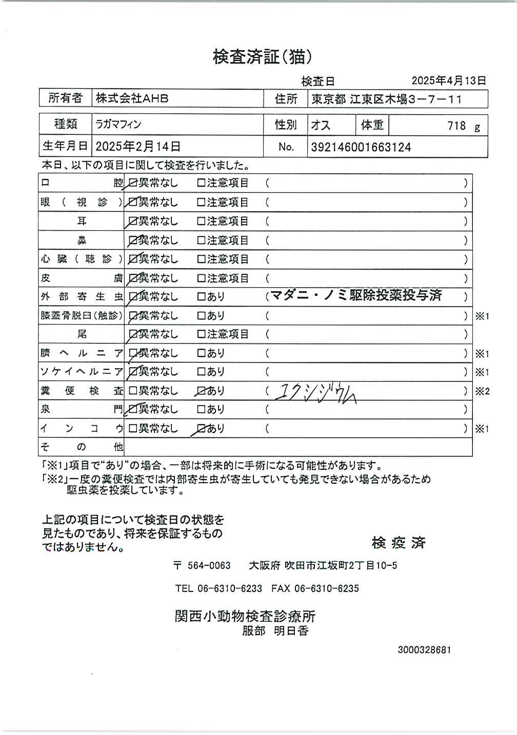 ラガマフィン