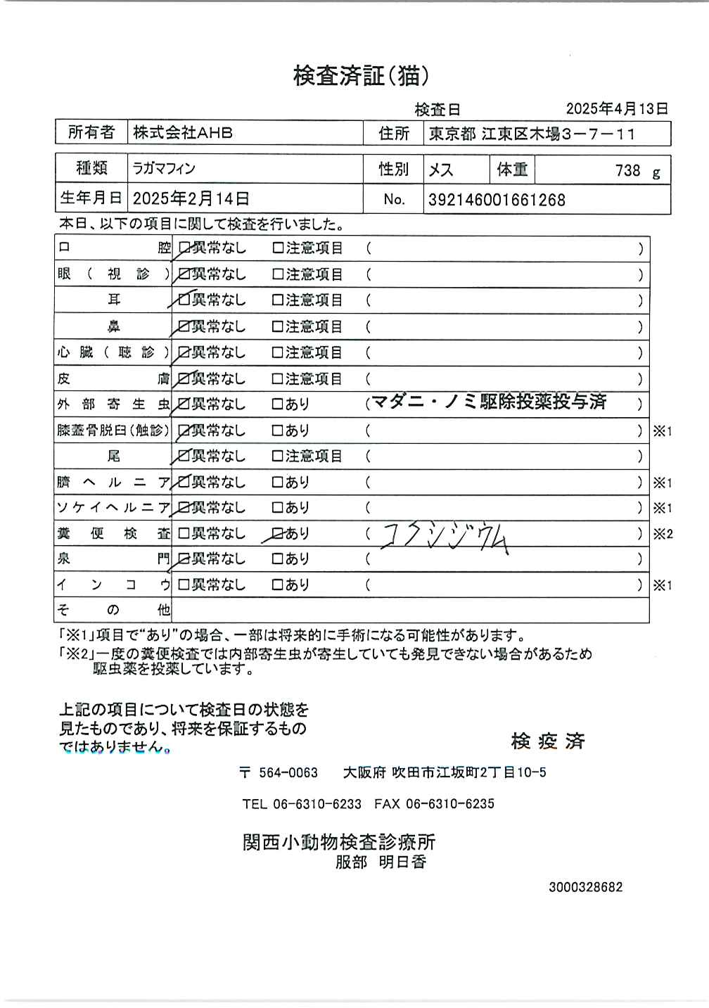 ラガマフィン