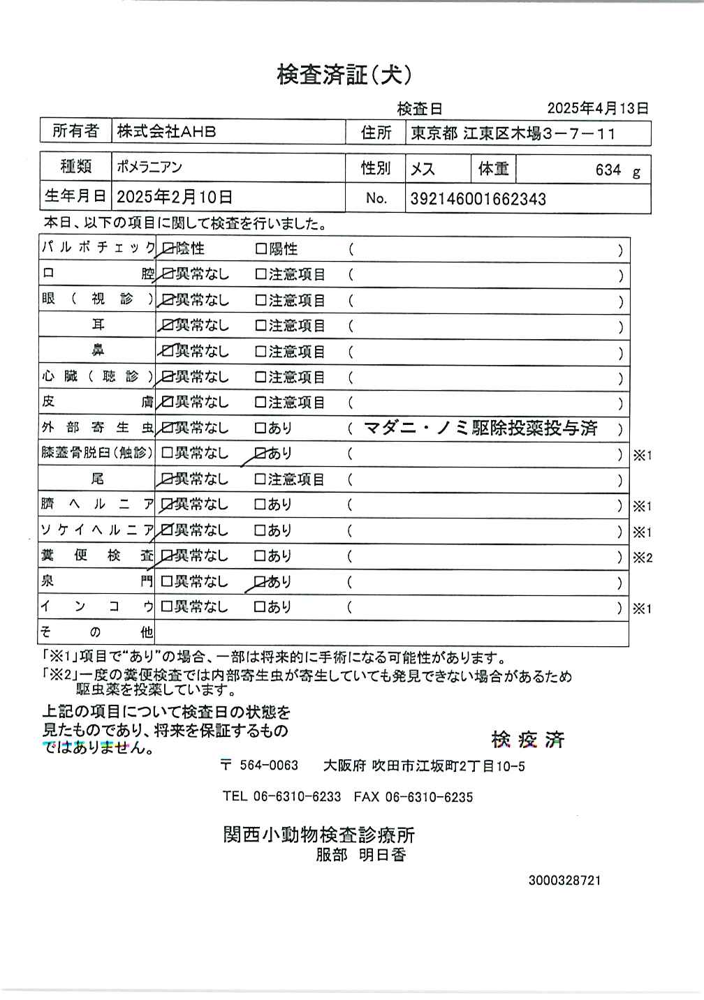 ポメラニアン