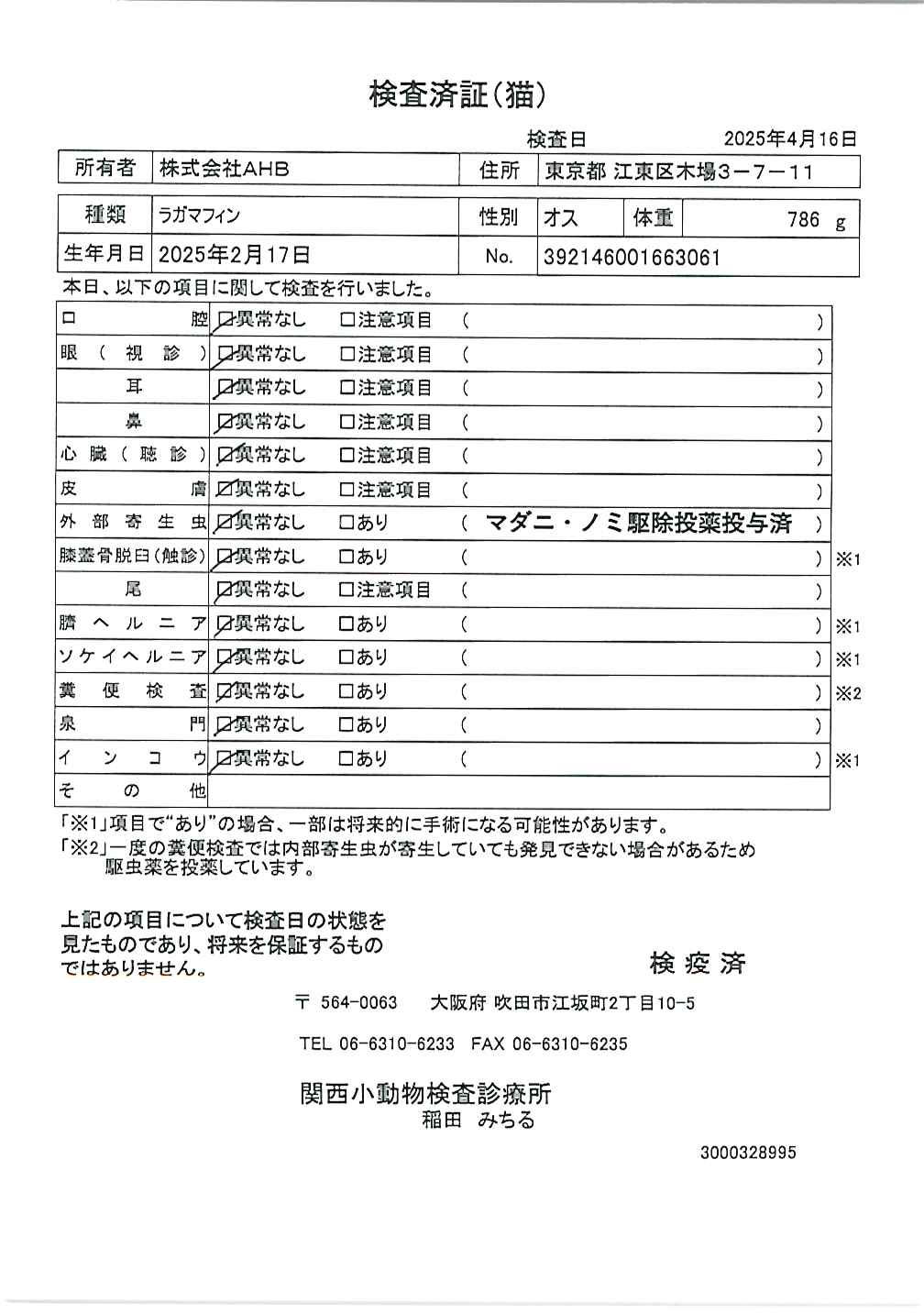 ラガマフィン