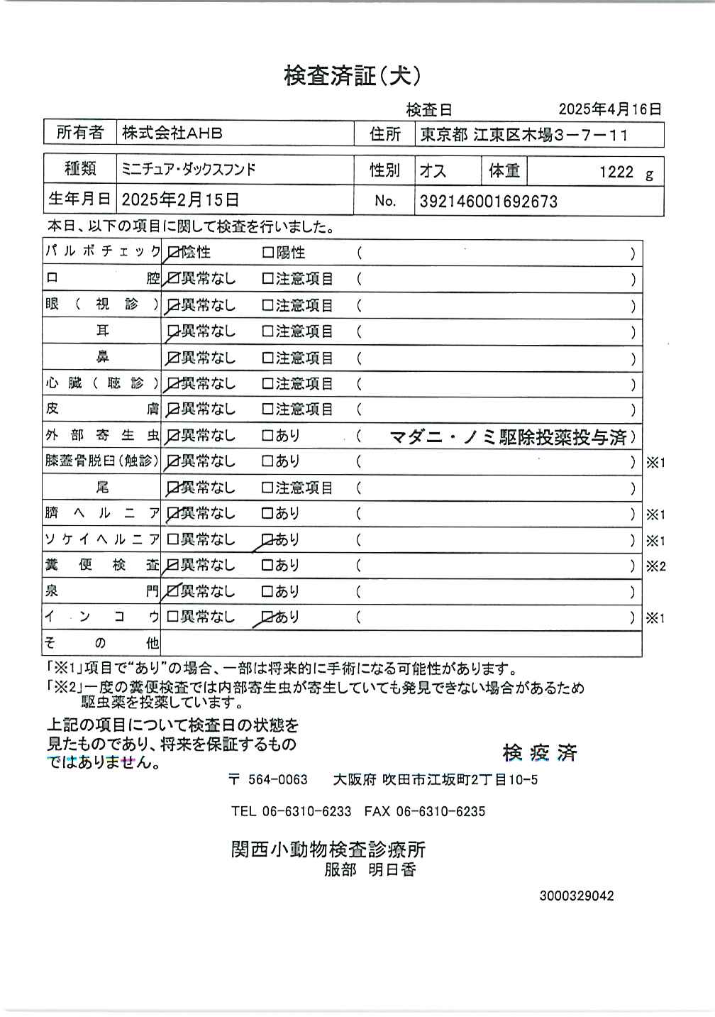 ミニチュア・ダックスフンド