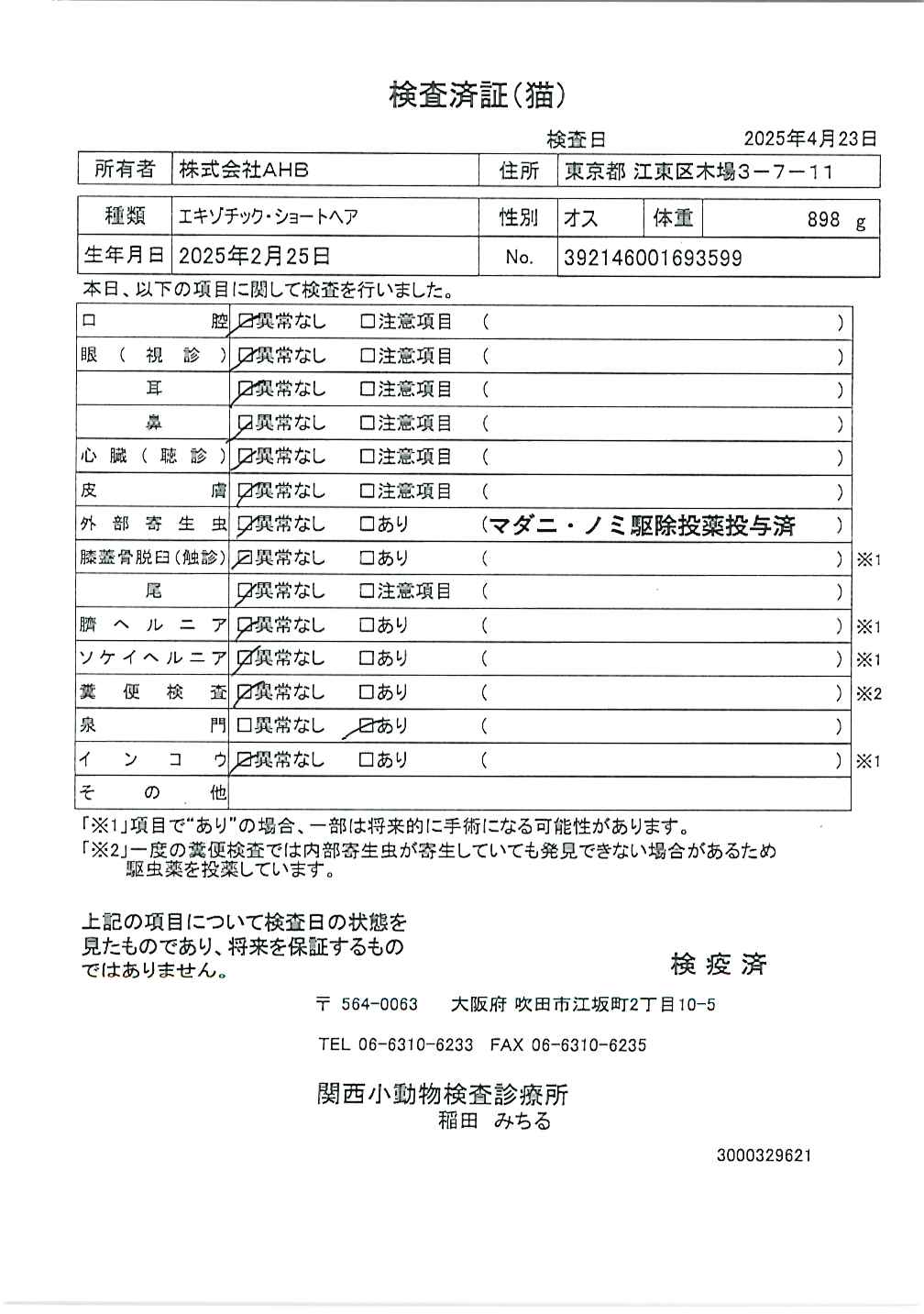 エキゾチック・ショートヘア