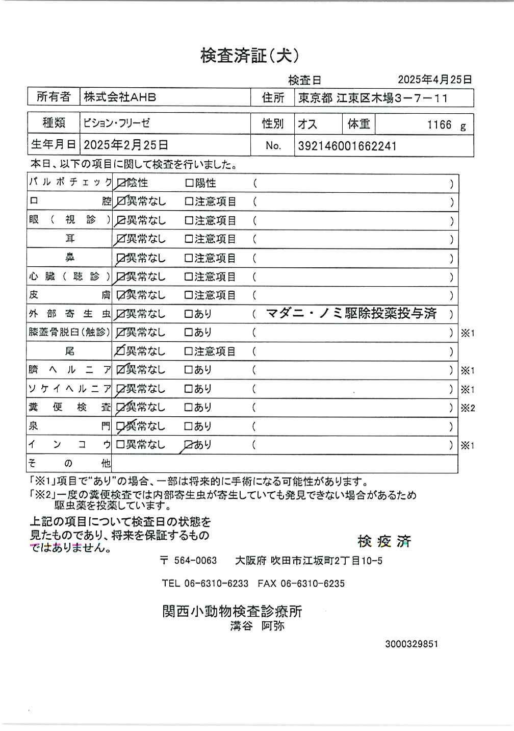 ビション・フリーゼ
