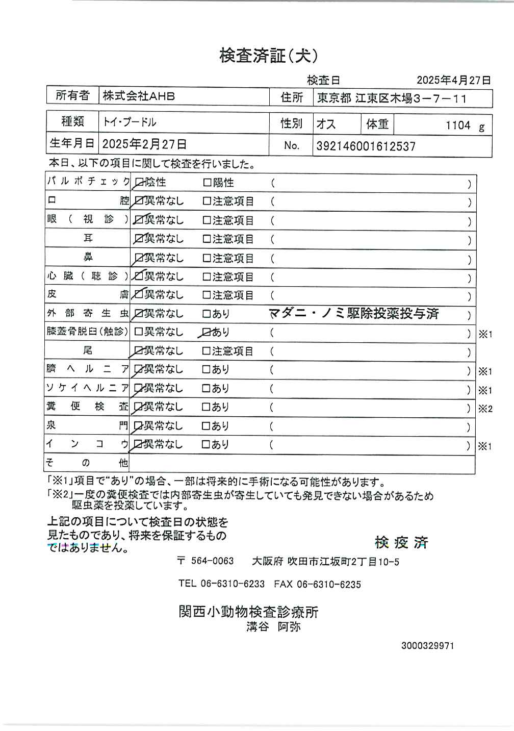 トイ・プードル