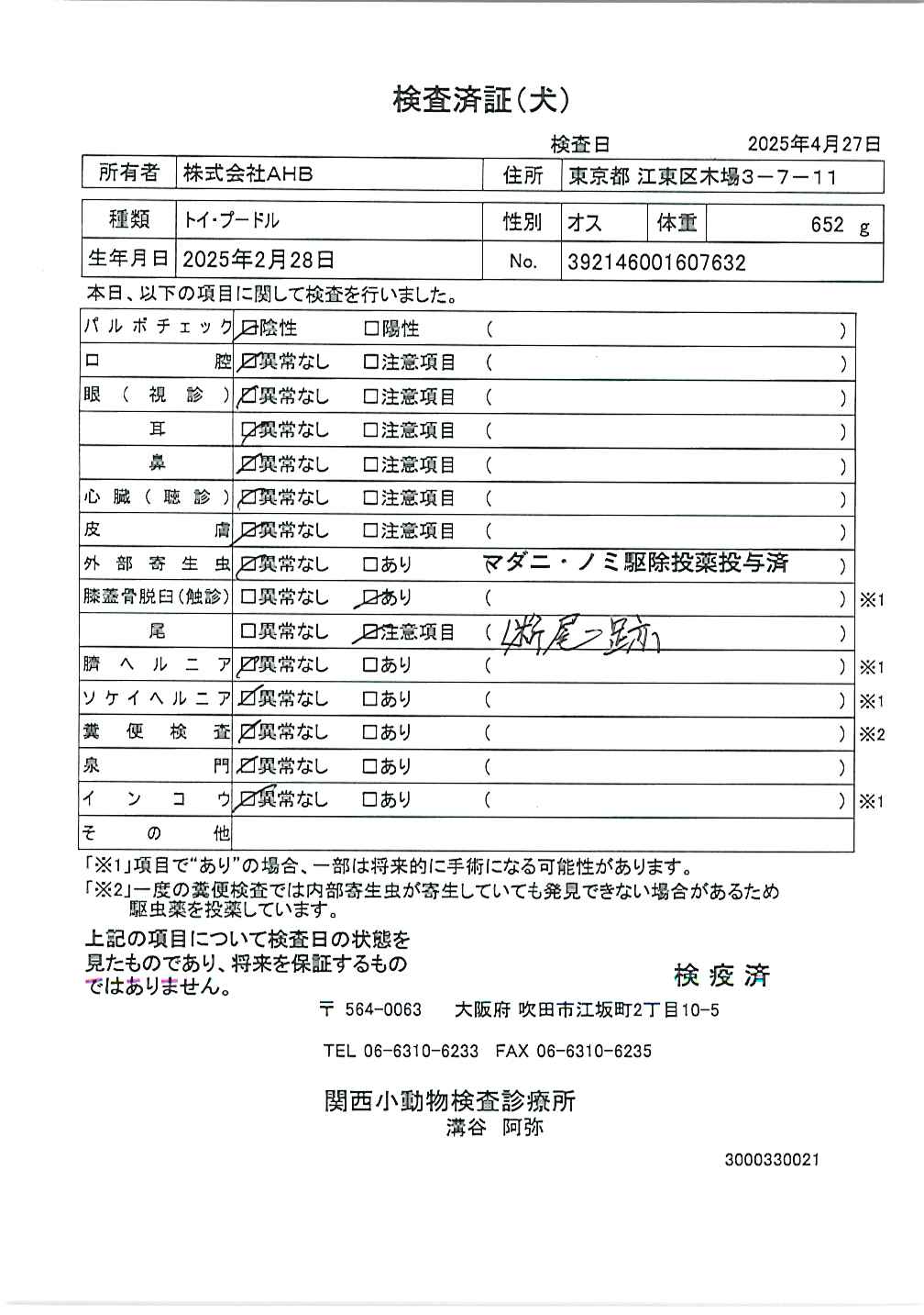 トイ・プードル