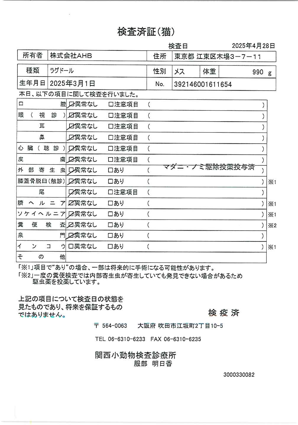 ラグドール