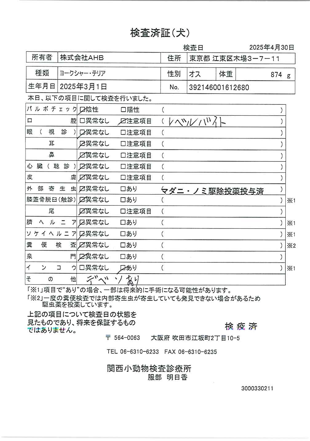 ヨークシャー・テリア