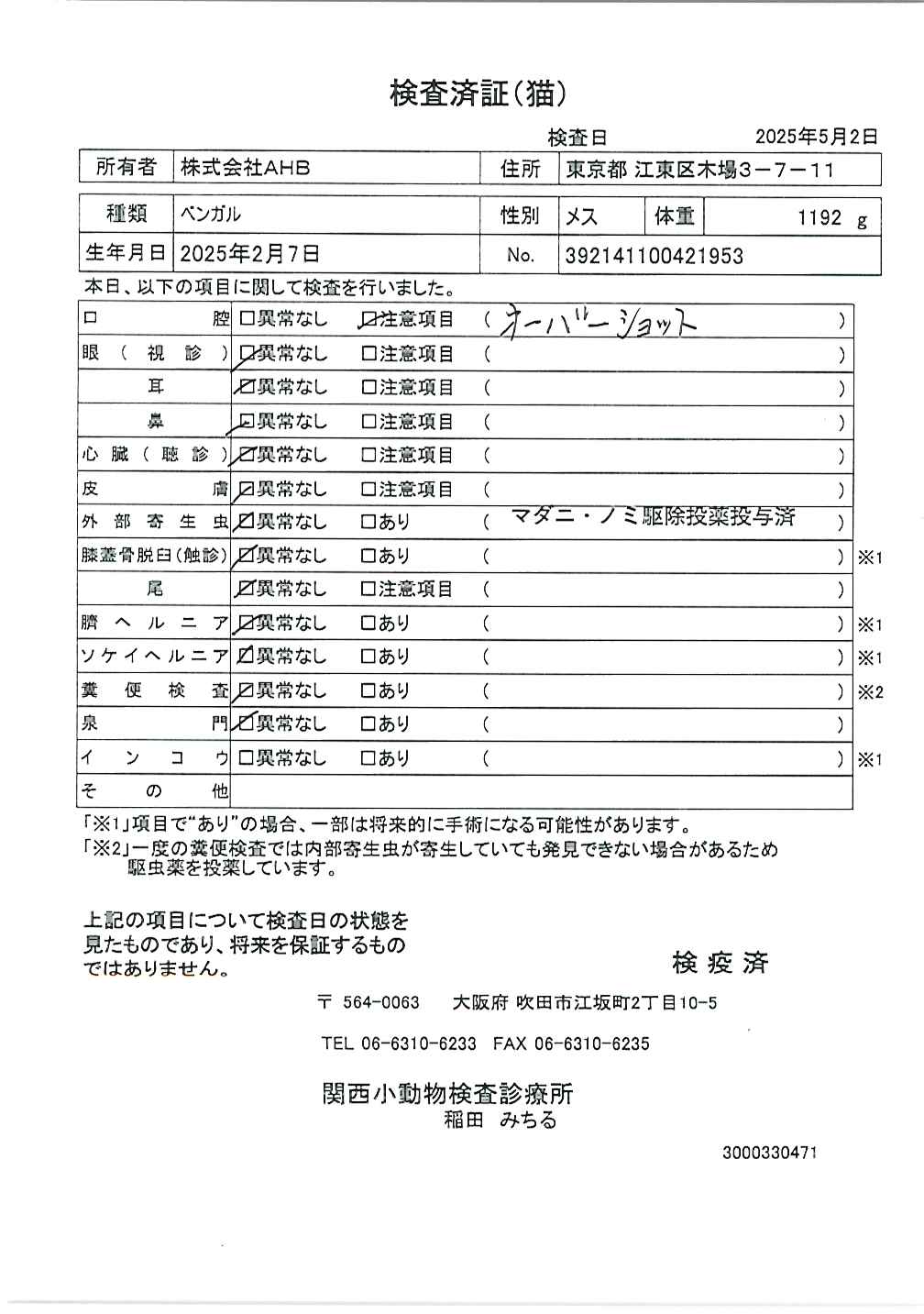 ベンガル
