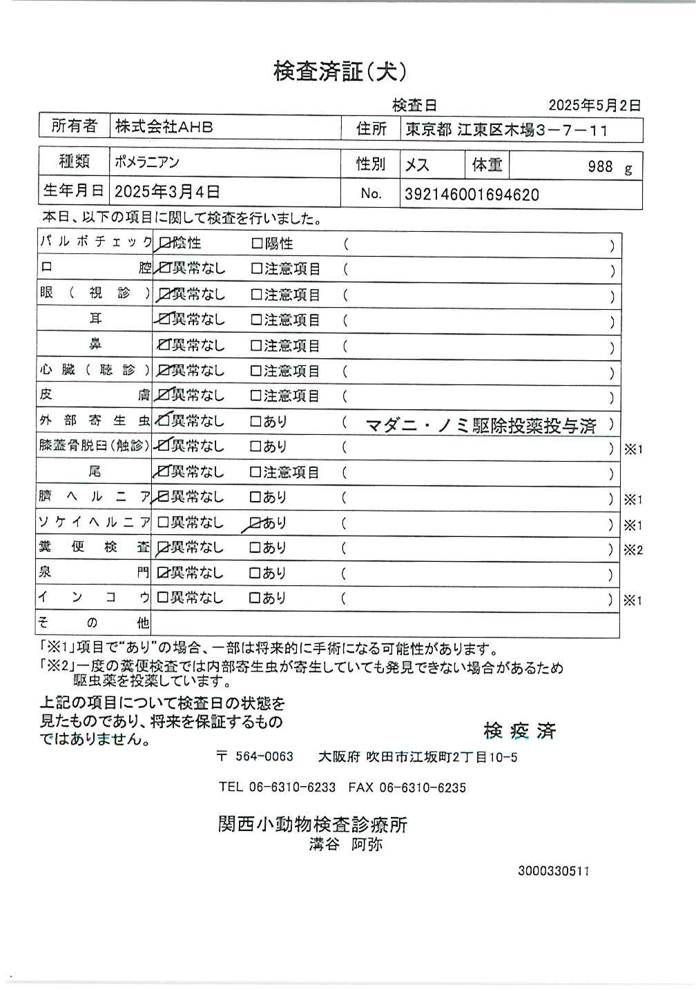 ポメラニアン