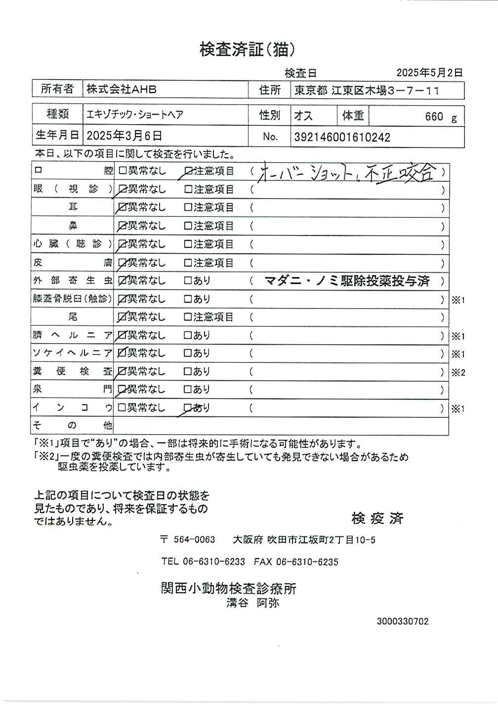 エキゾチック・ショートヘア