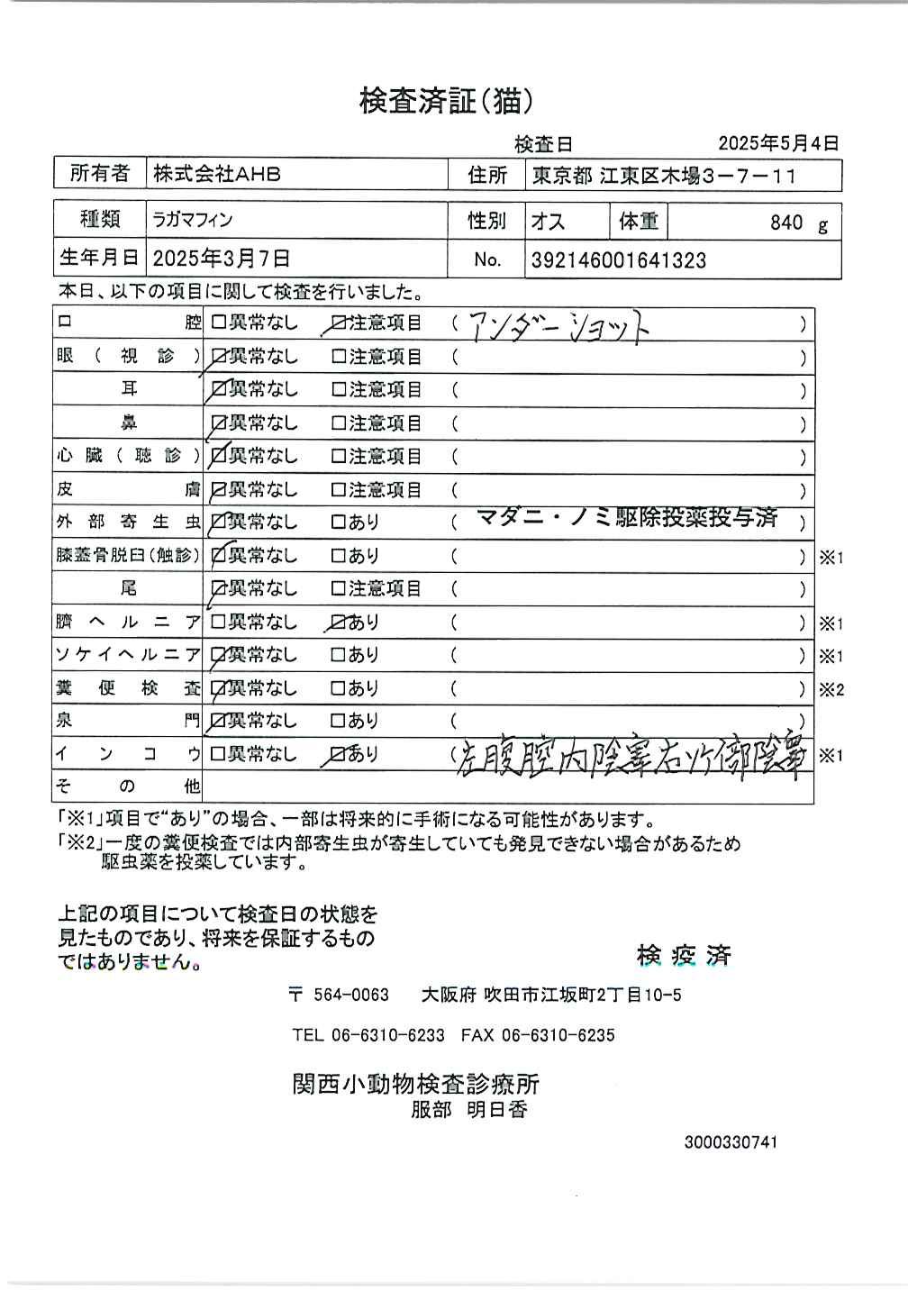 ラガマフィン