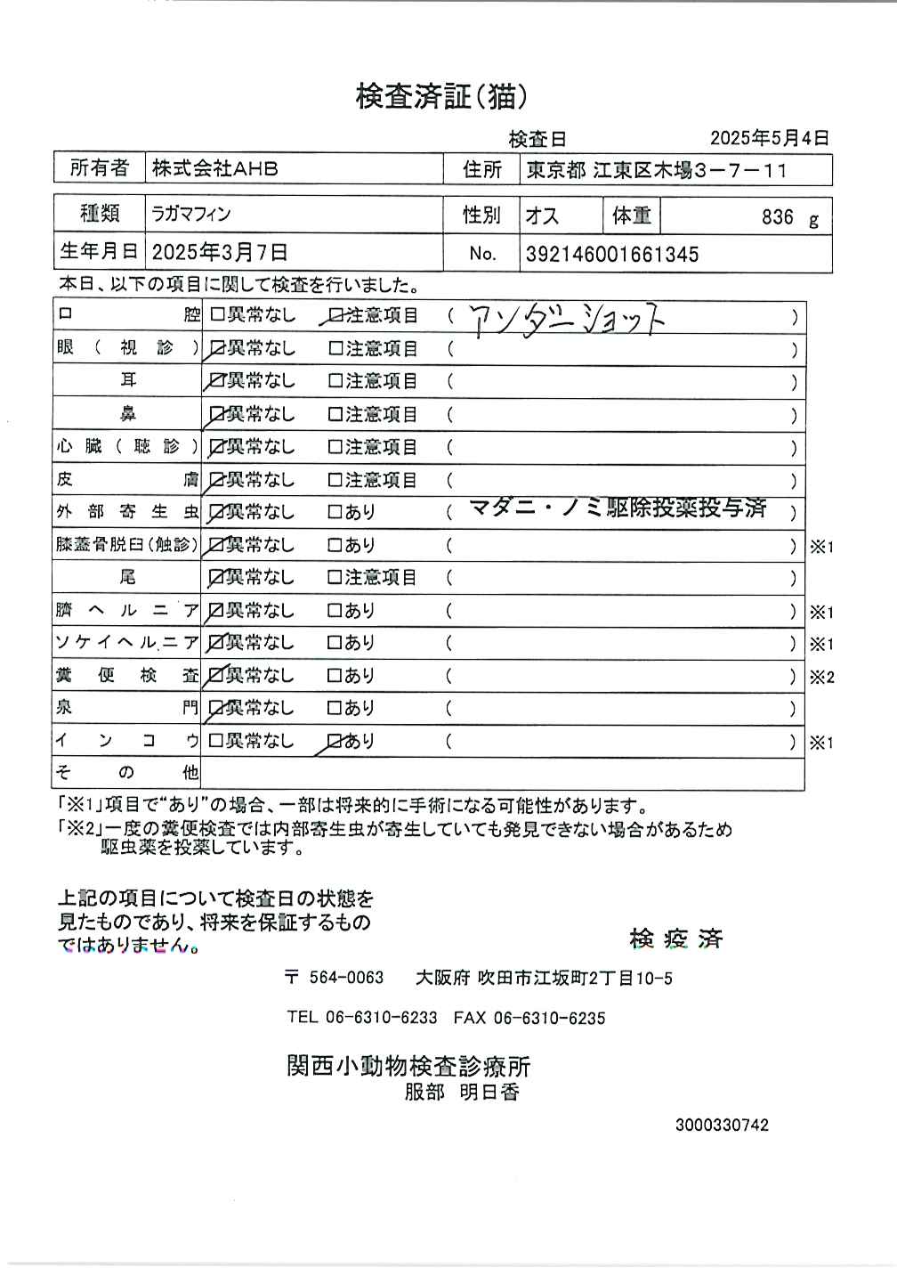 ラガマフィン