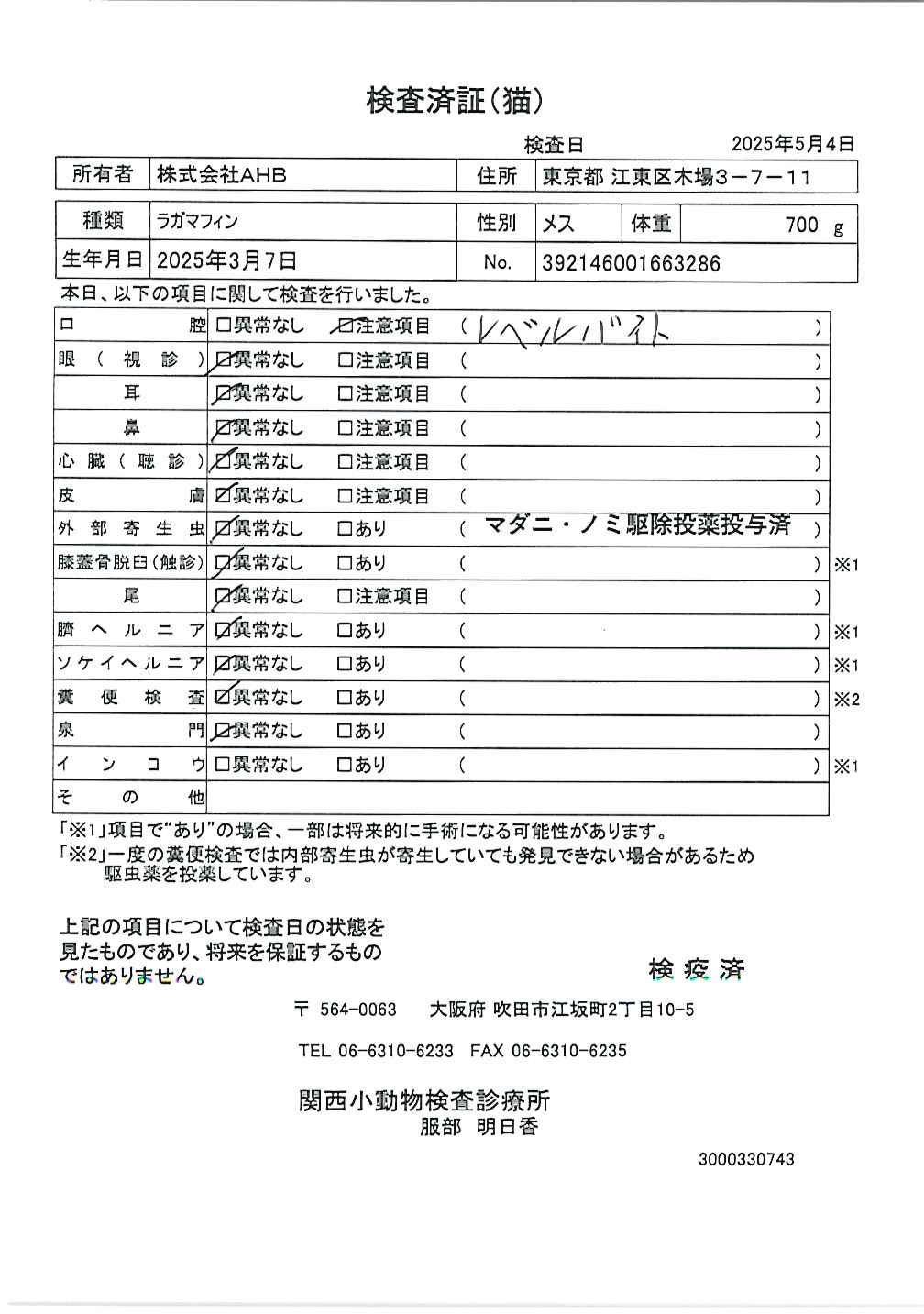 ラガマフィン