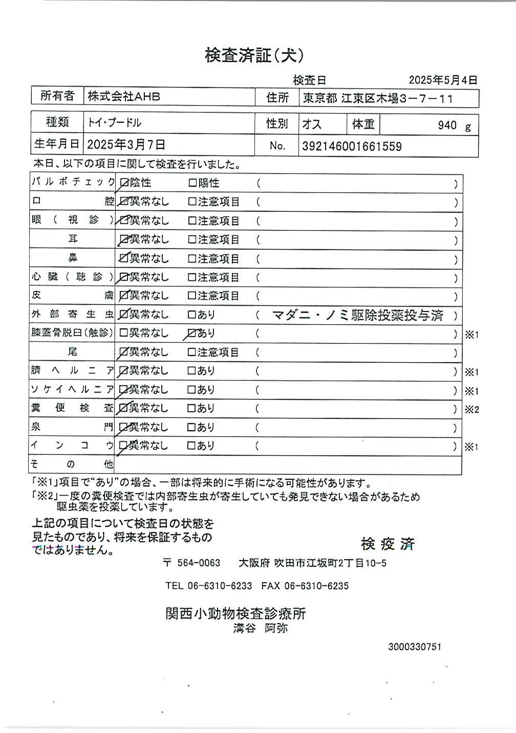 トイ・プードル