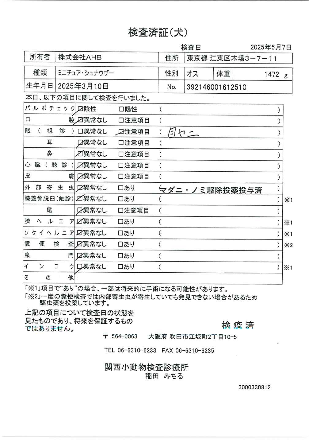 ミニチュア・シュナウザー