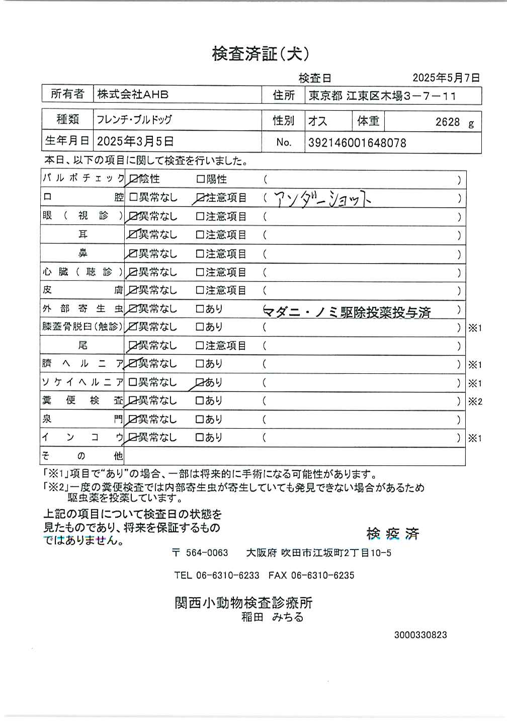 フレンチ・ブルドッグ