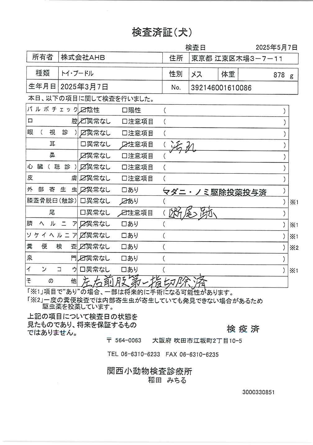 トイ・プードル