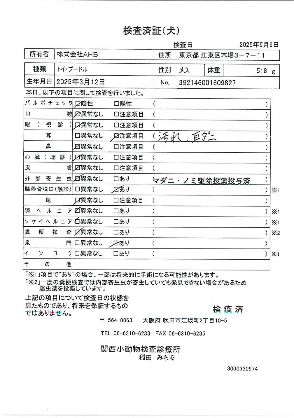トイ・プードル