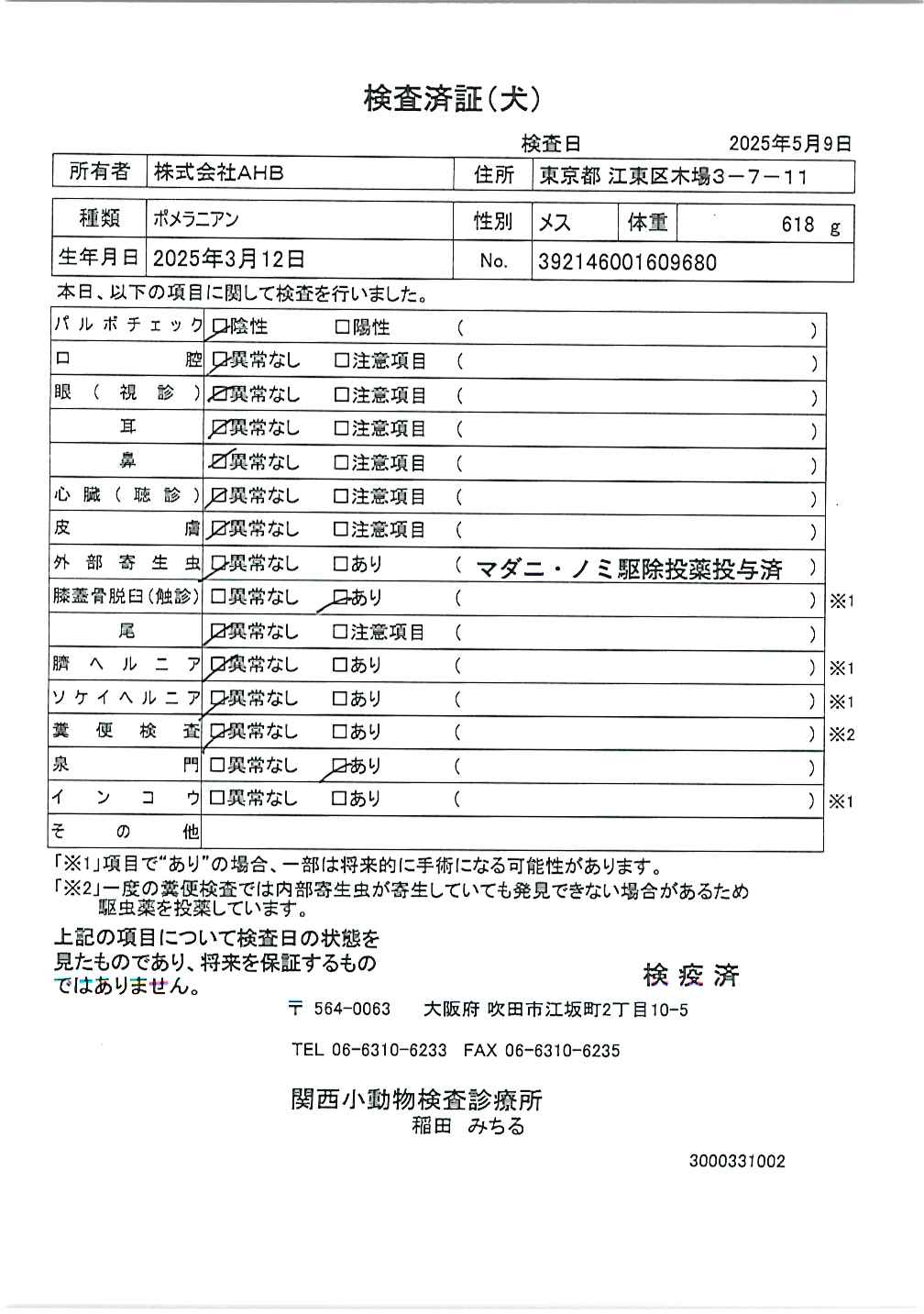 ポメラニアン