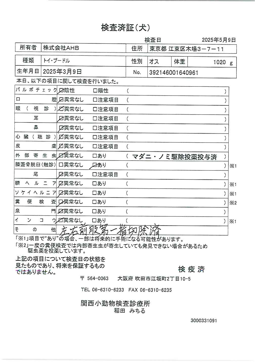 トイ・プードル