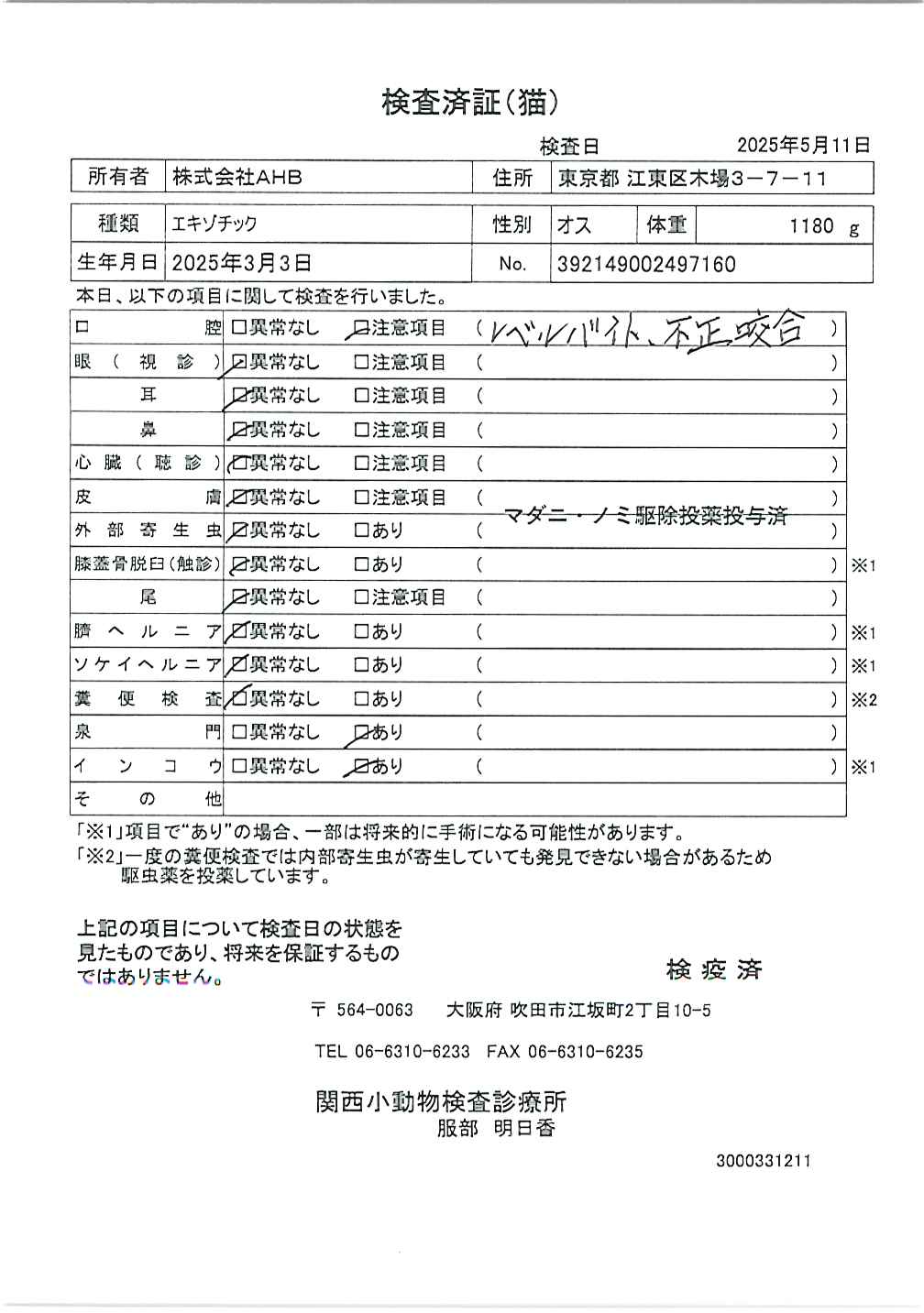 エキゾチック