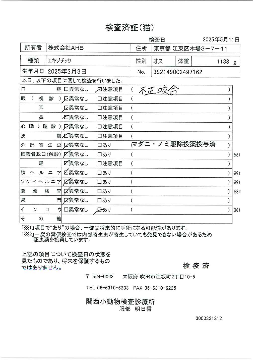 エキゾチック