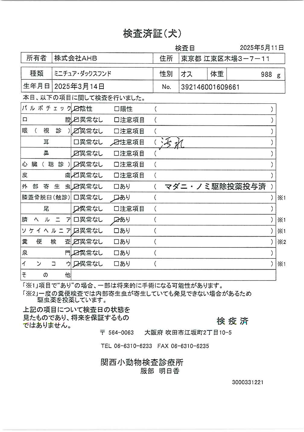 ミニチュア・ダックスフンド