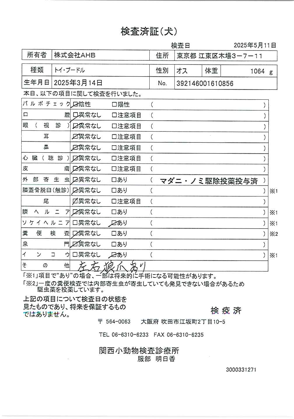 トイ・プードル