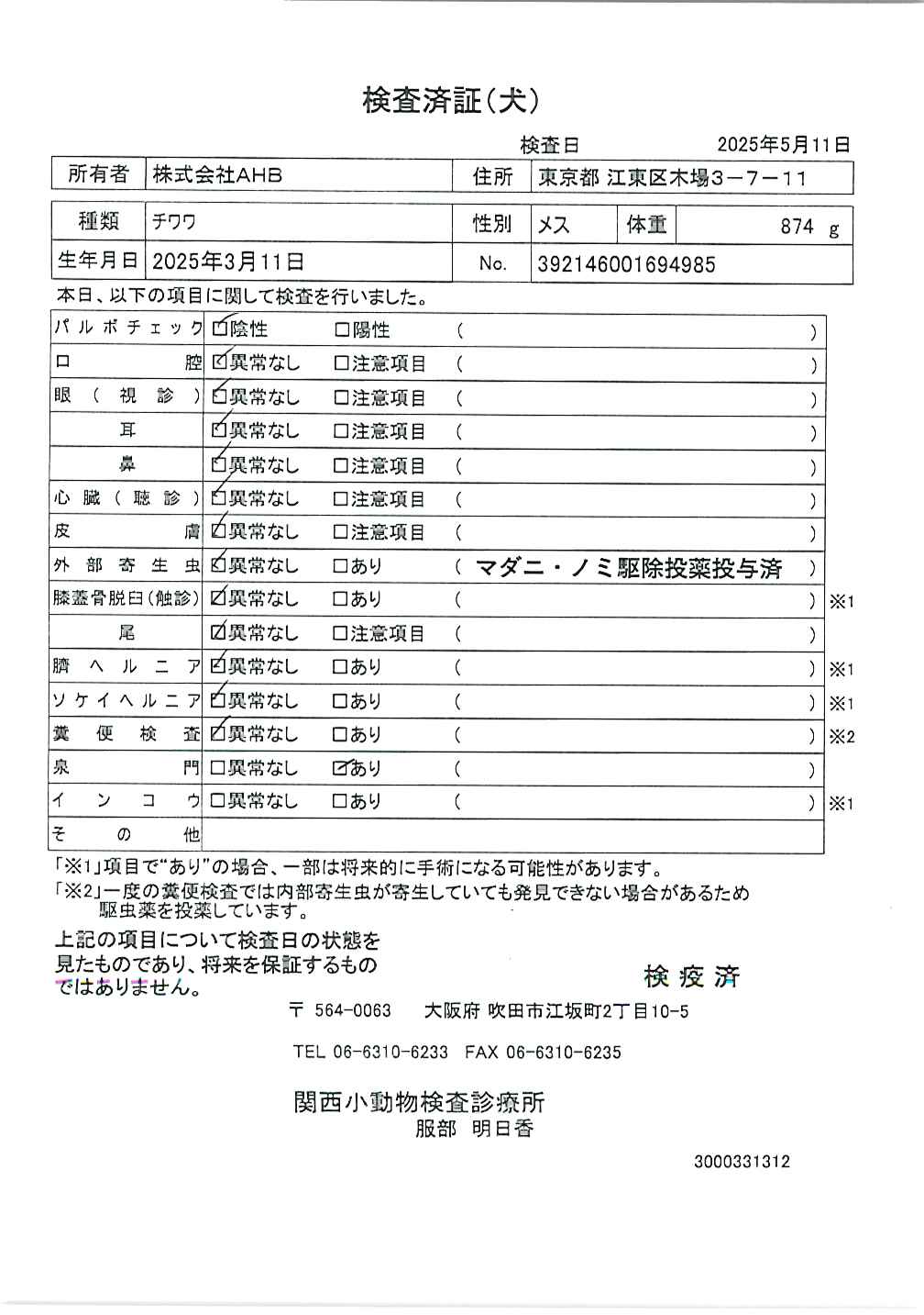 チワワ