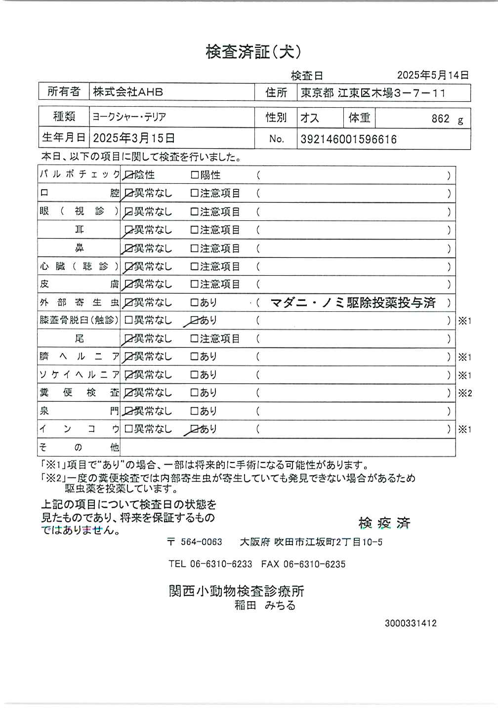 ヨークシャー・テリア