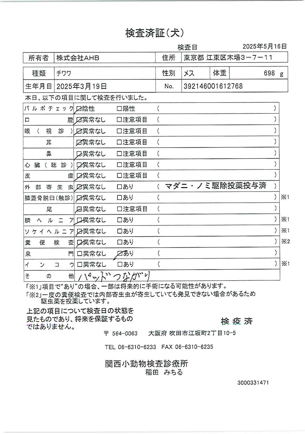 チワワ