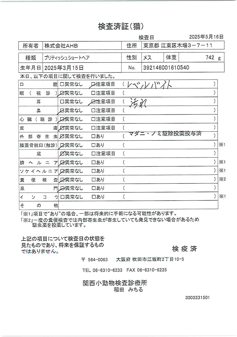 ブリティッシュショートヘア